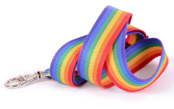 lgbt rainbow lanyards won’t be banned in whitehall despite common sense minister’s announcement