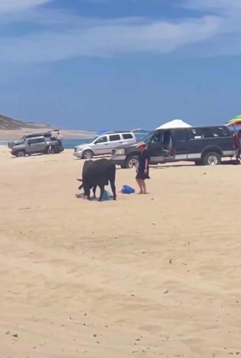 Afortunadamente la mujer pudo salir de la situación Foto: Captura