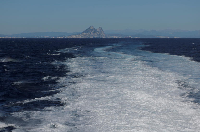 Orcas again sink yacht near Strait of Gibraltar as high-risk season looms