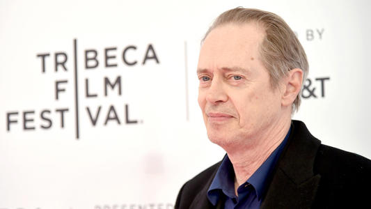 Suspect who randomly attacked actor Steve Buscemi in broad daylight identified by NYPD: report<br><br>