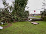 Pregnant woman, unborn child killed by falling tree during severe weather<br><br>