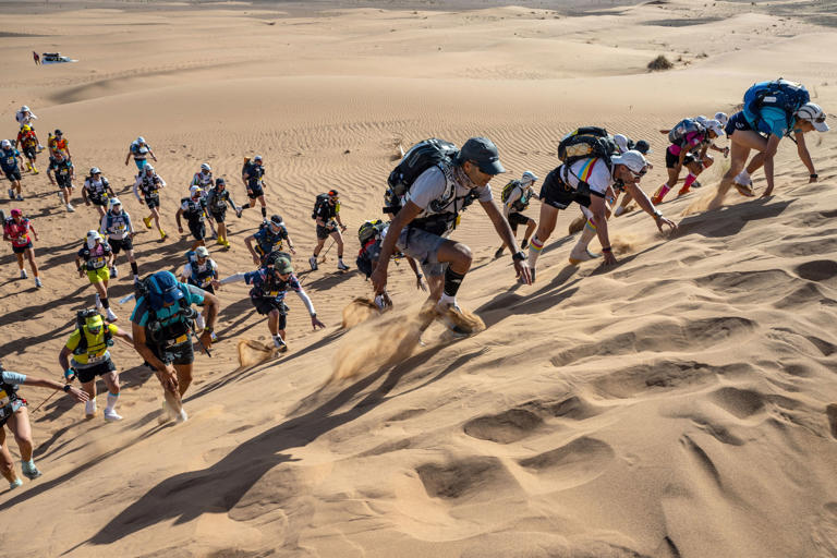 Runners compete in the Marathon des Sables, a 250-kilometer race in the Sahara Desert in Morocco, in 2022. Humans have a number physiological adaptations, such as slow-twitch muscle fibers and the ability to sweat a lot, that help with endurance running.