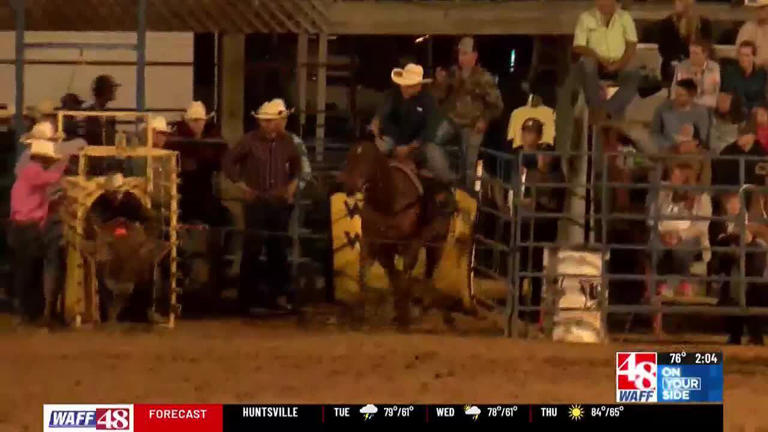 ‘Rain or shine’: The 42nd annual Limestone County Sheriff’s Rodeo is ...