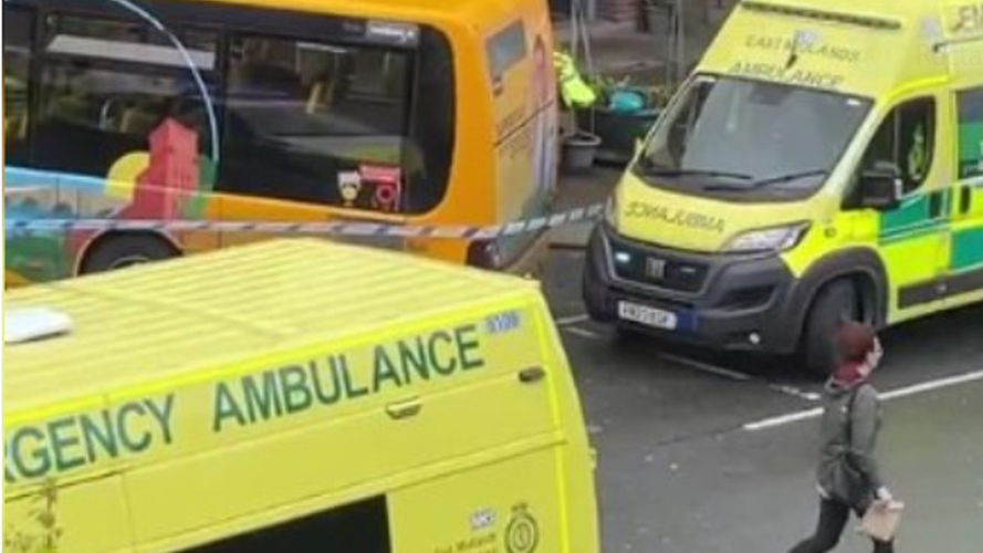 Woman dies after being hit by bus on main road