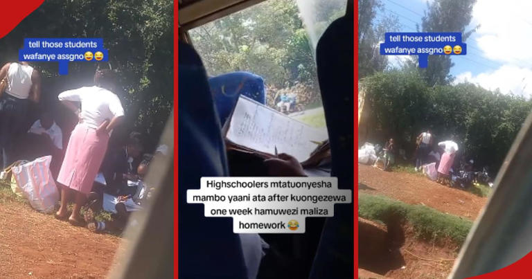 Murang'a: Viral Video of Students Doing Assignments at School Gate Amuses Netizens