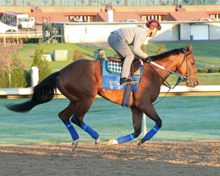 Temperature Knocks Muth Out Of Preakness