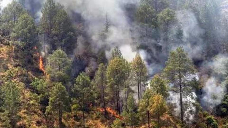 Uttarakhand forest fires: Supreme Court raps Modi govt for granting ₹3.15 crore against demand of ₹ 10 crore