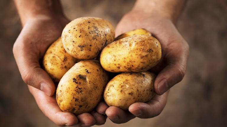 Avoir des frites croustillantes au Air Fryer : 9 astuces incontournables