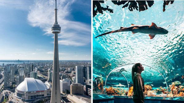 16 Toronto attractions you can visit for free with your library card in 2024