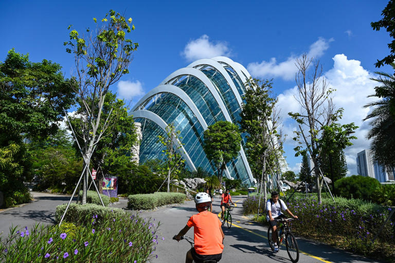 People cycle along a path next to the Flower Dome in Singapore's Gardens by the Bay. Photo: AFP
