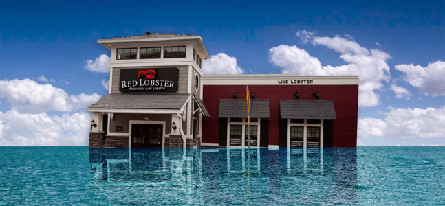 Stormy Financial Seas Push Red Lobster to Close Scores of Restaurants<br><br>