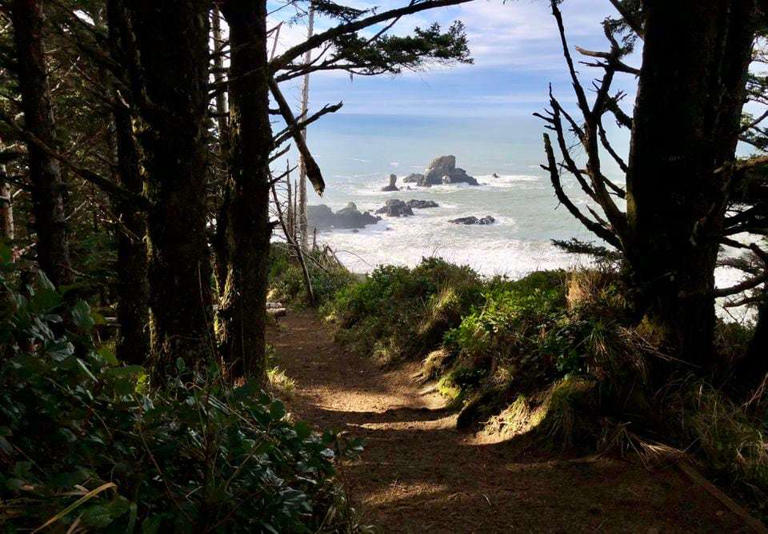 The Indian Beach Trail runs through a quiet coastal forest and along oceanside cliffs at Ecola State Park, offering some of the most stunning views on the north Oregon coast.