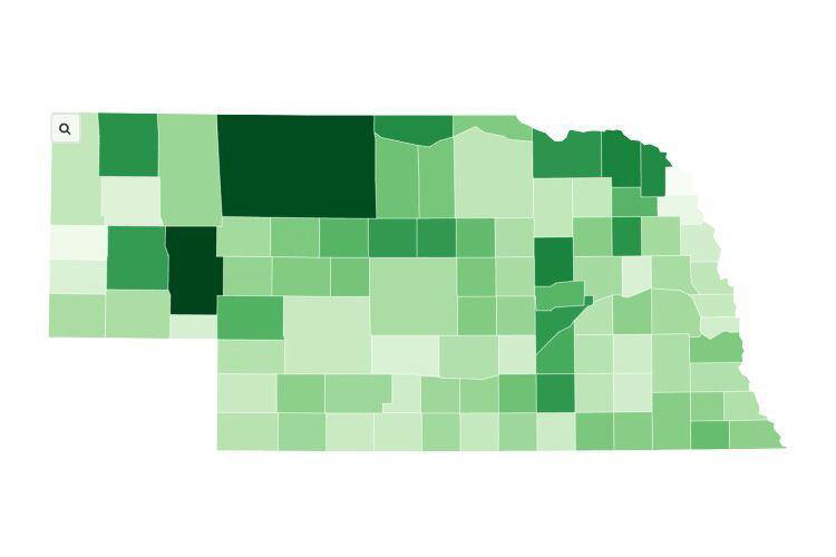 Election 2024 Nebraska Primary voter turnout lower than expected