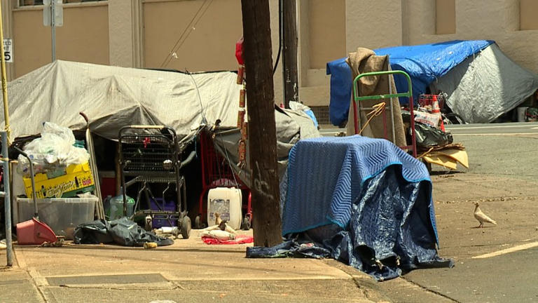 Oahu’s 2024 homeless population census increases by 12%