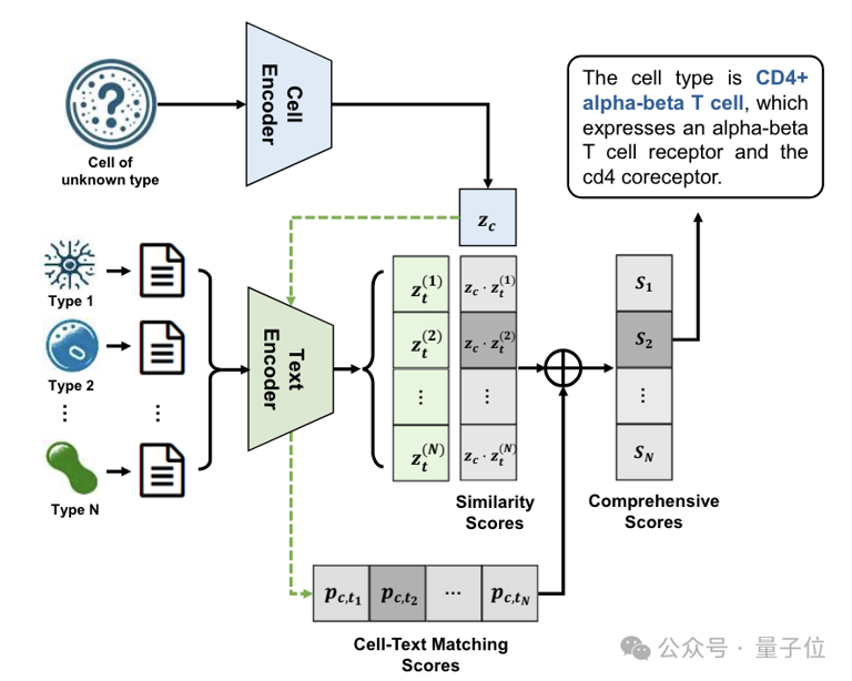 识别细胞也能用大模型了！清华系团队出品，已入选ICML 2024 开源