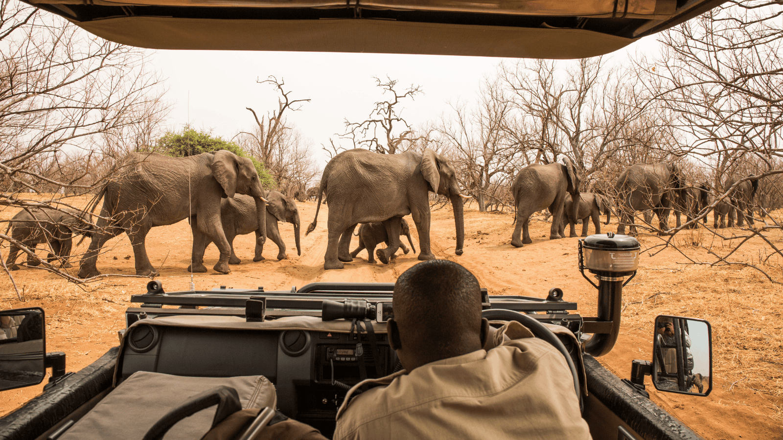 <p><a href="https://www.compassodyssey.travel/tour/6-day-zambezi-chobe-safari/" rel="nofollow external noopener noreferrer">Compass Odyssey’s</a> private 6-Day Zambezi-Chobe Safari lets you craft the perfect Africa itinerary. It’s a one-of-a-kind voyage featuring a <a href="https://whatthefab.com/luxury-river-cruises.html" rel="follow">river cruise</a> down the Zambezi, walking safaris, and scenic drives through Chobe National Park. </p><p>You can personalize the trip to include additional days and custom activities. However you want to spend your time in Africa, Compass Odyssey can make it happen. </p>
