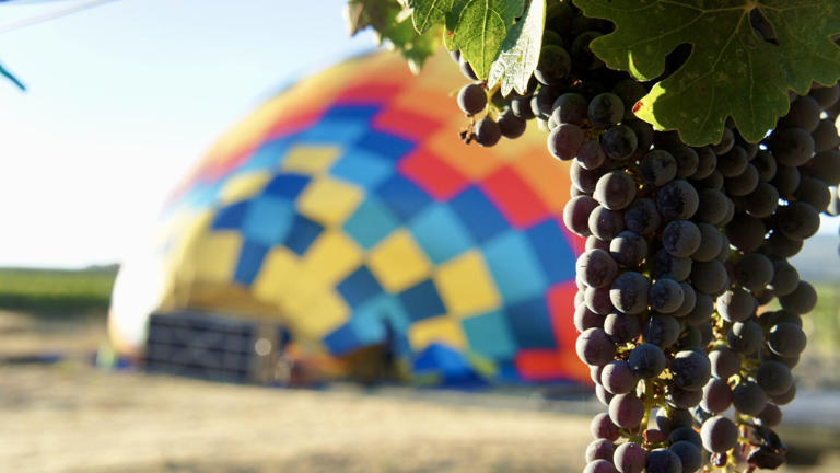 Everything you need to know to narrow your American wine countries getaway search.