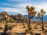 Every National Park in California, Ranked<br><br>