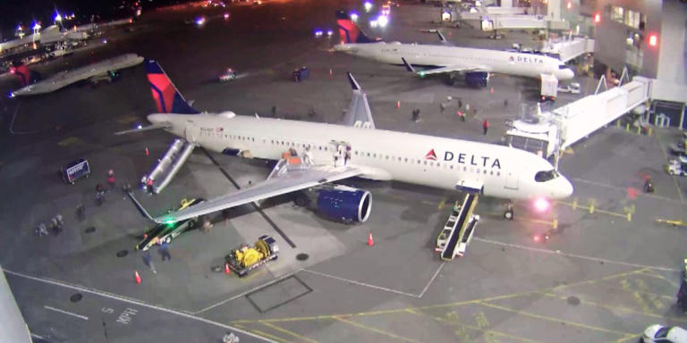 Delta Flight Catches Fire at Seattle Airport New Video Emerged