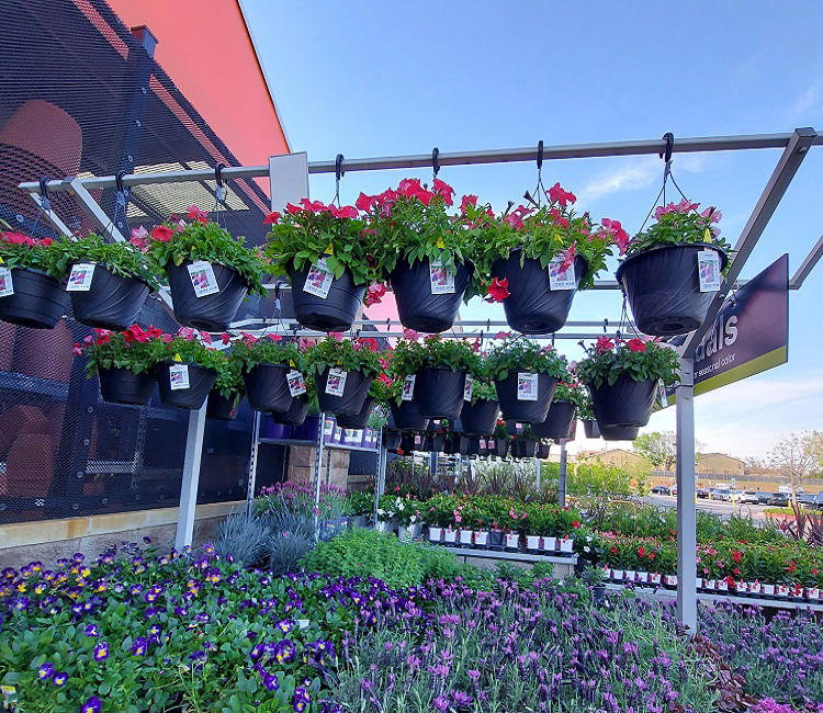 It's that time again – check out this year's Lowe's Memorial Day sale! Lowes Memorial Day Sale! Through May 29th (unless otherwise noted), you can score sale prices on mulch, Miracle Gro and more. The following prices are from the Oklahoma City ad. If you live in another state your ad may be different. You...