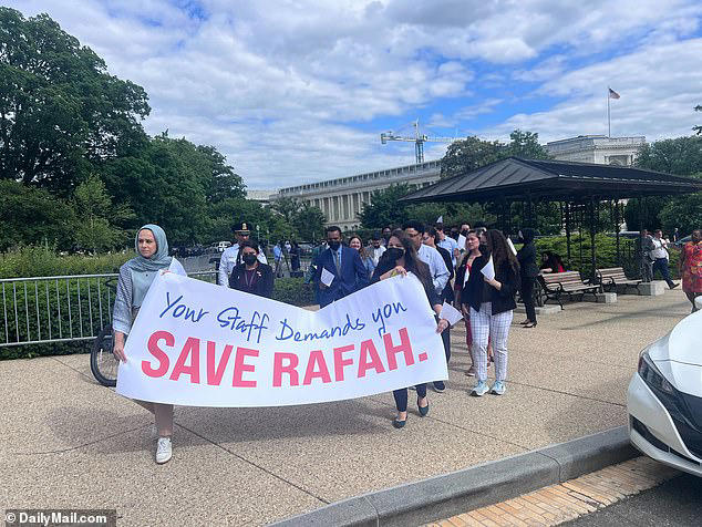 Congressional staff 'hide faces and badges' during pro-Gaza walkout