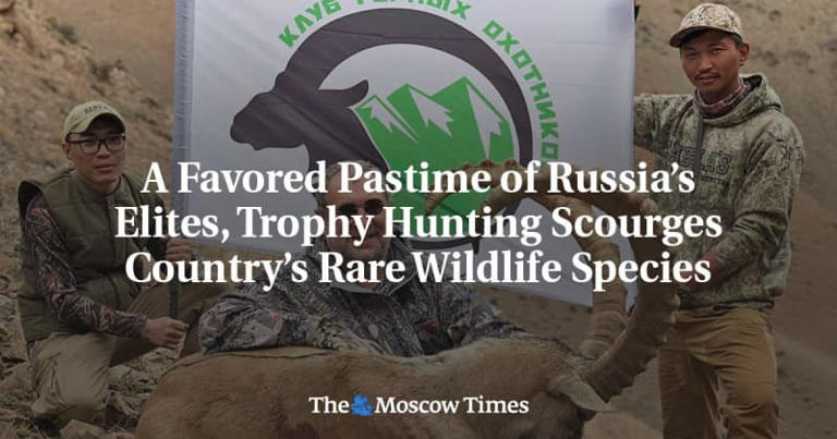 A Favored Pastime of Russia’s Elites, Trophy Hunting Scourges Country’s Rare Wildlife Species