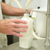 Raw milk is more dangerous than ever. So why are sales surging?<br>