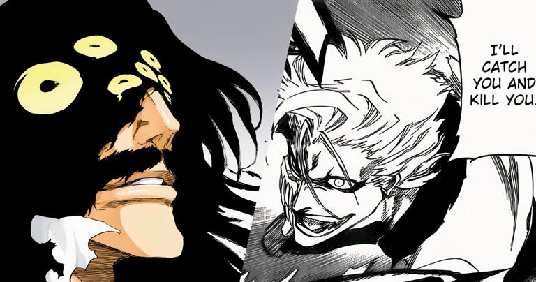 Bleach: Captain Commander Shunsui Kyraku's Zanpakut, Explained