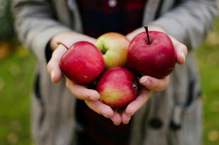 ¿por qué debemos comer manzana todos los días? aquí las razones