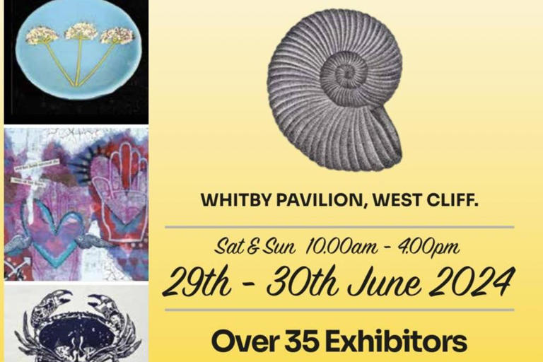 Whitby Art Fair returns to Whitby Pavilion for another year