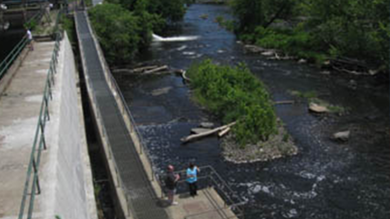 Fish ladder open to community to watch American Shad migrate upstream ...