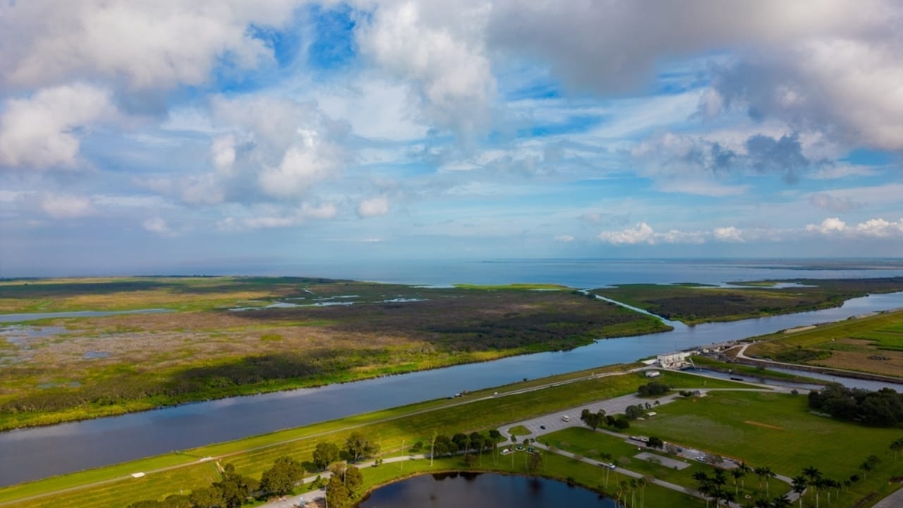 <p>Known as Florida’s inland sea, Lake Okeechobee is expansive, stretching over 730 square miles. This vast body of water is a paradise for alligators, with thousands believed to be living within its marshes and aquatic grasslands. The lake’s enormous area and rich, varied ecosystems make it a prime breeding ground for these creatures.</p> <p>Lake Okeechobee is a critical habitat not only for alligators but also for waterfowl and freshwater fish, drawing anglers and bird watchers alike. The surrounding recreational areas offer hiking, scenic viewing spots, and more, making it a nature lover’s dream.</p>