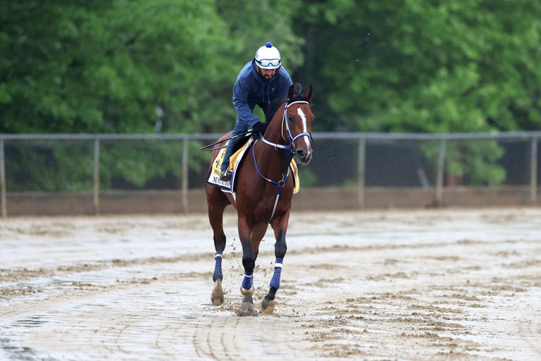 Preakness Stakes 2024 odds, horses, jockeys and complete bettor’s guide