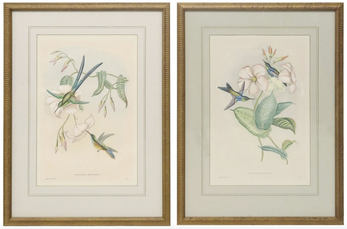 <p><a class="body-btn-link" href="https://www.liveauctioneers.com/item/177970915_2-after-john-gould-hand-colored-prints-of-hummingbirds">Bid</a></p><p>John Gould, <em>Hummingbirds</em></p><p>With sheltering in place came a newfound auction mania, with antiques and art insiders finding their favorite no-longer-secret weapon, LiveAuctioneers. The site serves as a platform for a thousand different auction houses, prominent and obscure alike. Alas, the estimates might have ballooned, but there are still deals to be found on this site.</p>