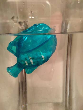 the blue plastic fish filled white white balls that sanitize the water