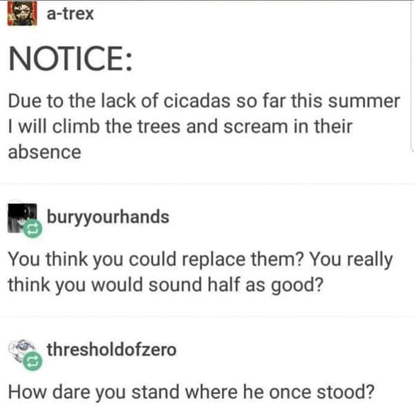 35+ Funny Cicada Memes That Are Buzzing All Over The Internet (May 24 ...