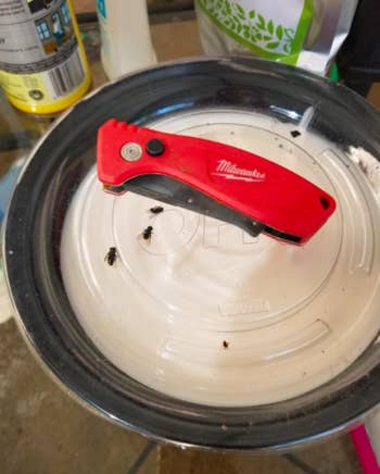 Reviewer shows garbage guard shielding lid from big flies on their trash can