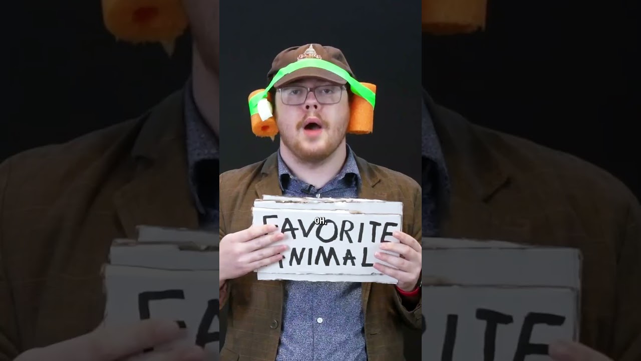 Watch us perform hilarious comedy skits about absurd and random topics