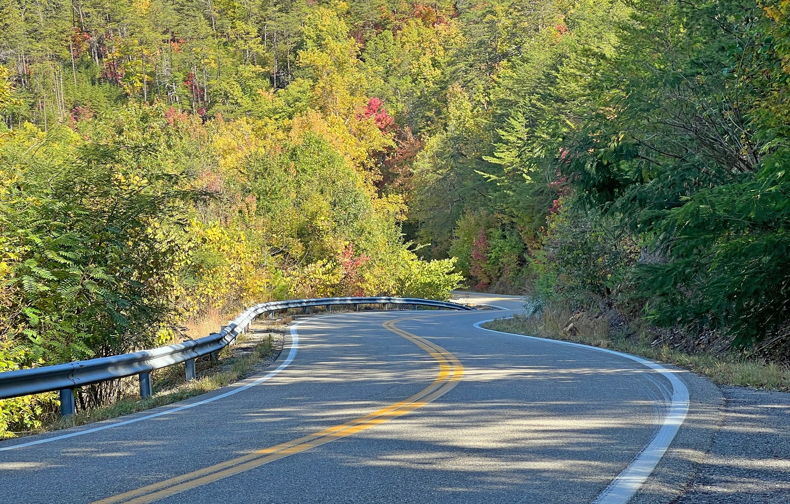 <p class="wp-caption-text">Image Credit: Shutterstock / Melinda Fawver</p>  <p><span>This notorious stretch boasts 318 curves over 11 miles, making it a magnet for motorcyclists seeking the ultimate test of their cornering skills amidst the Smoky Mountains.</span></p>