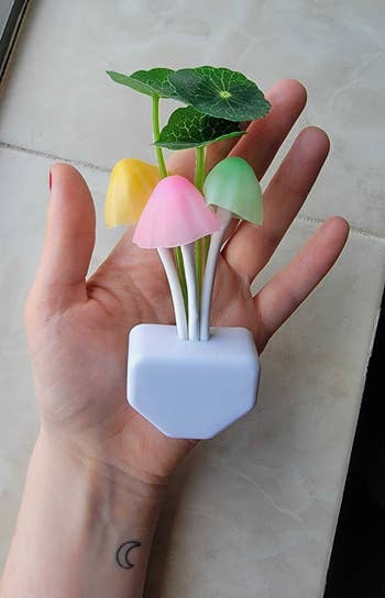 BuzzFeed editor holding white plug with pastel mushrooms and leaves blooming out of it