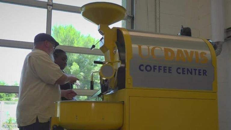 The science of coffee: UC Davis now home to first coffee research center at a U.S. university