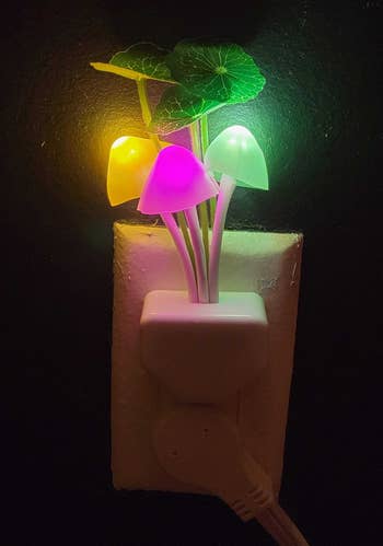 The LED color shifting mushrooms in the dark