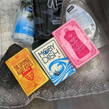 book sponges with punny dish-related titles