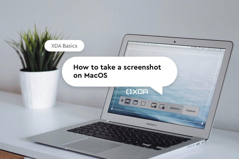 macbook on a white desk with a plant in the background