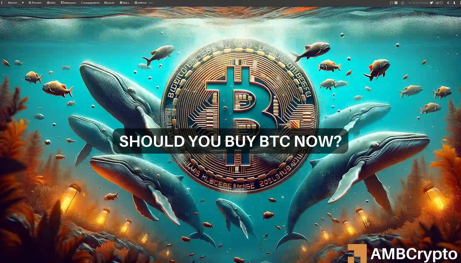 Bitcoin Whales' Buying Frenzy - What It Means For You And Your Holdings