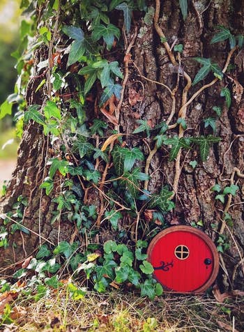 a zoomed out shot of the door on a trees showing the scale