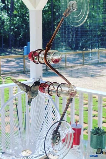 a reviewer photo of a hummingbird feeding from a feeder stuck to the window
