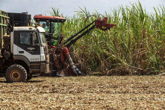 Colheita mecanizada de cana em plantação da Raízen em Piracicaba Foto: Daniel Teixeira/Estadão