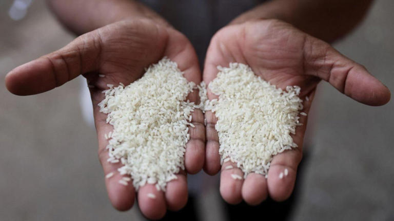 , the new central government will focus on liquidating the huge surplus of rice stocks (Reuters)