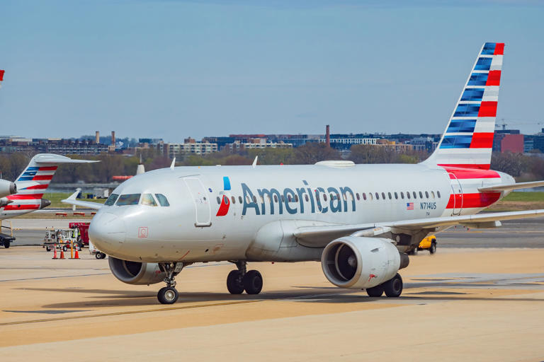 American Airlines Longtime And Beloved Flight Attendant Bette Nash Dies